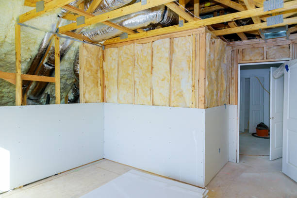 Best Insulation for New Construction  in Tuscola, IL